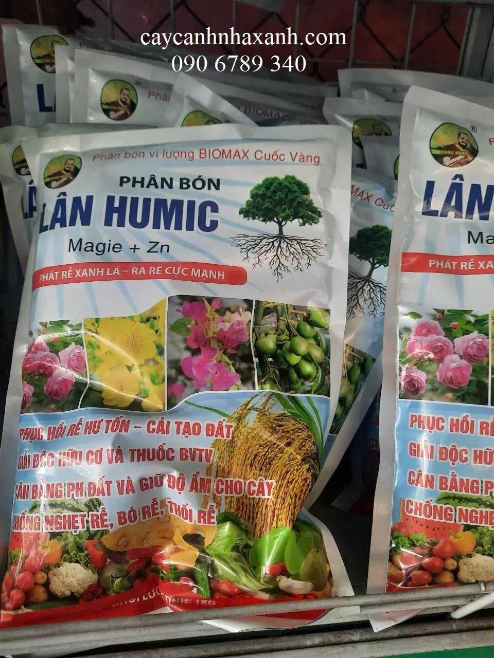 Phân Lân