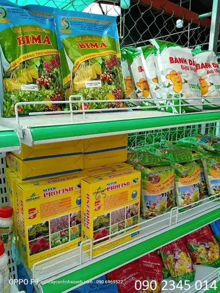 Phân sinh học BIMA