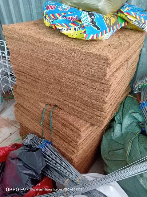 Sơ Dùa miếng 50 x 50