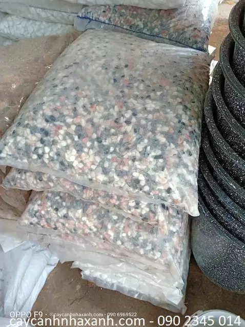 Sỏi màu