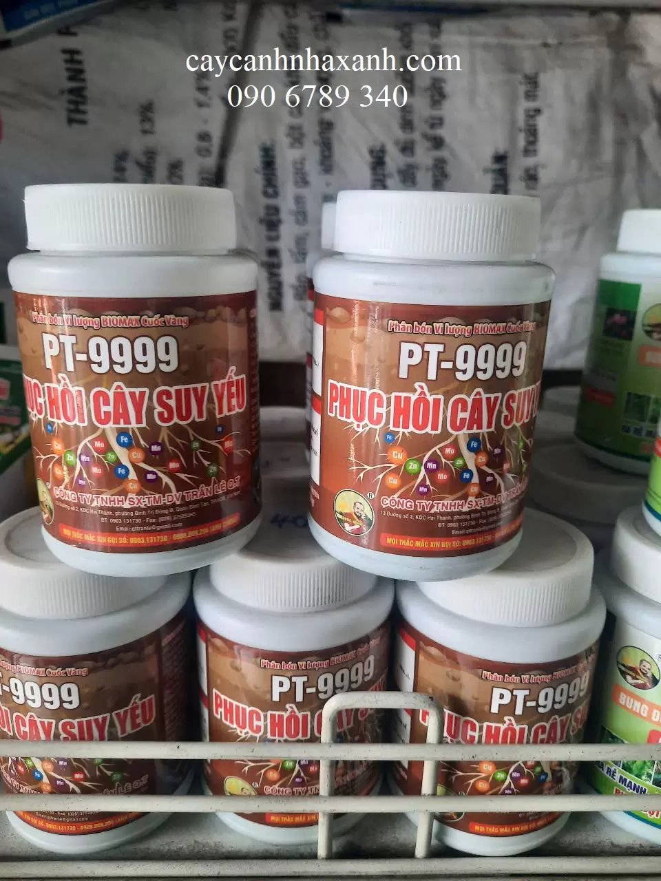 Thuốc Phục hồi cây