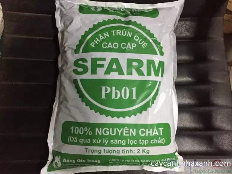 Trùn Quế cao cấp - 2kg