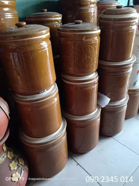 Vại nước 25L