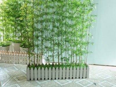 CÂY TRÚC QUÂN TỬ 3