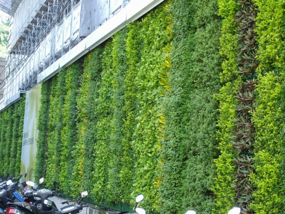 Thiết Kế, Thi Công Tường Cây Xanh Hồ Chí Minh 3