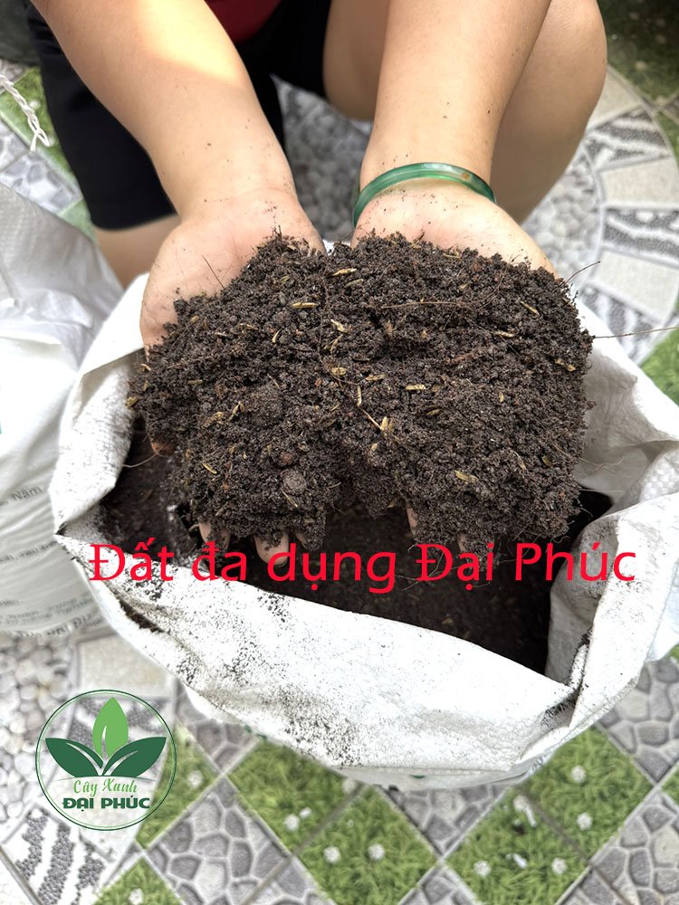 Đất trồng cây đa dụng Đại Phúc có gì đặc biệt so với các loại đất thường bán trên thị trường? 2