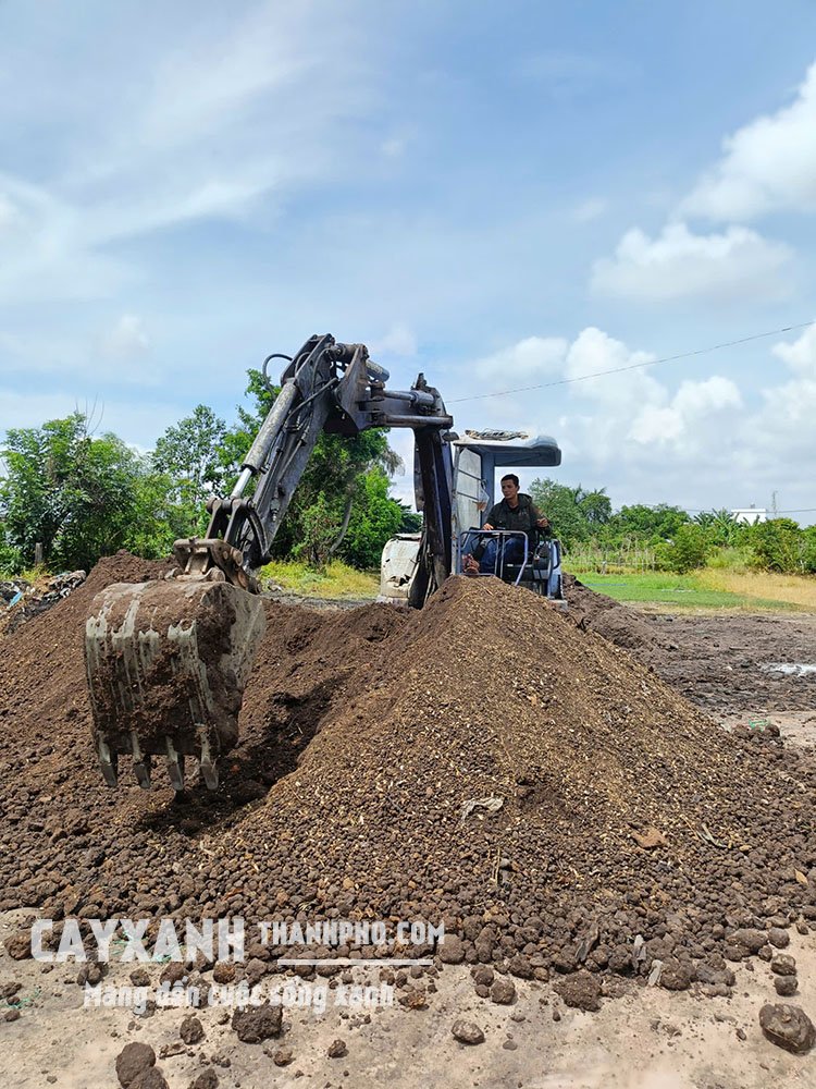 Đất Trộn Trồng Cây Theo Yêu Cầu – Đúng Thành Phần, Đúng Tỷ Lệ 2