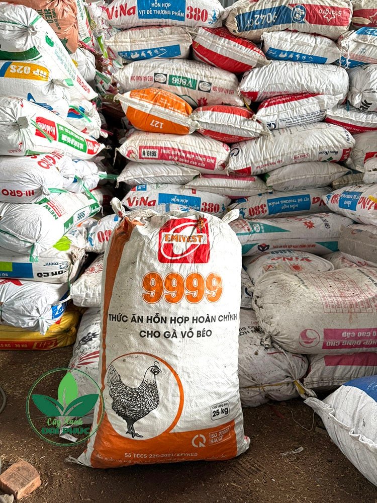 Phân bò khô trồng cây: Tác dụng, cây trồng phù hợp và cách sử dụng 3