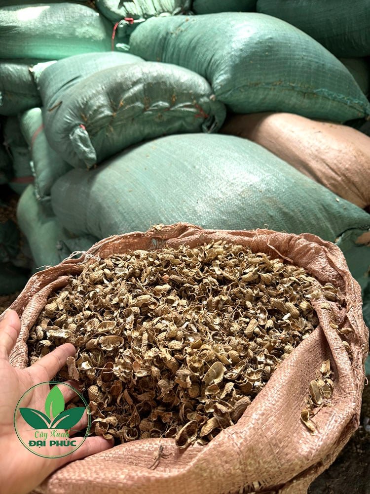 Vỏ đậu phộng trồng cây, trồng rau – Công dụng và địa chỉ mua giá tốt 3