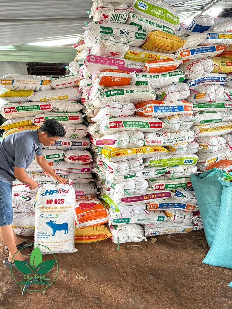 Xơ dừa trồng cây – Xơ dừa xay nguyên xơ, giữ ẩm và làm tơi đất 3
