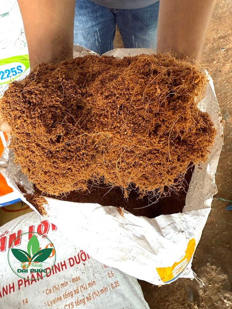 Xơ dừa trồng cây – Xơ dừa xay nguyên xơ, giữ ẩm và làm tơi đất