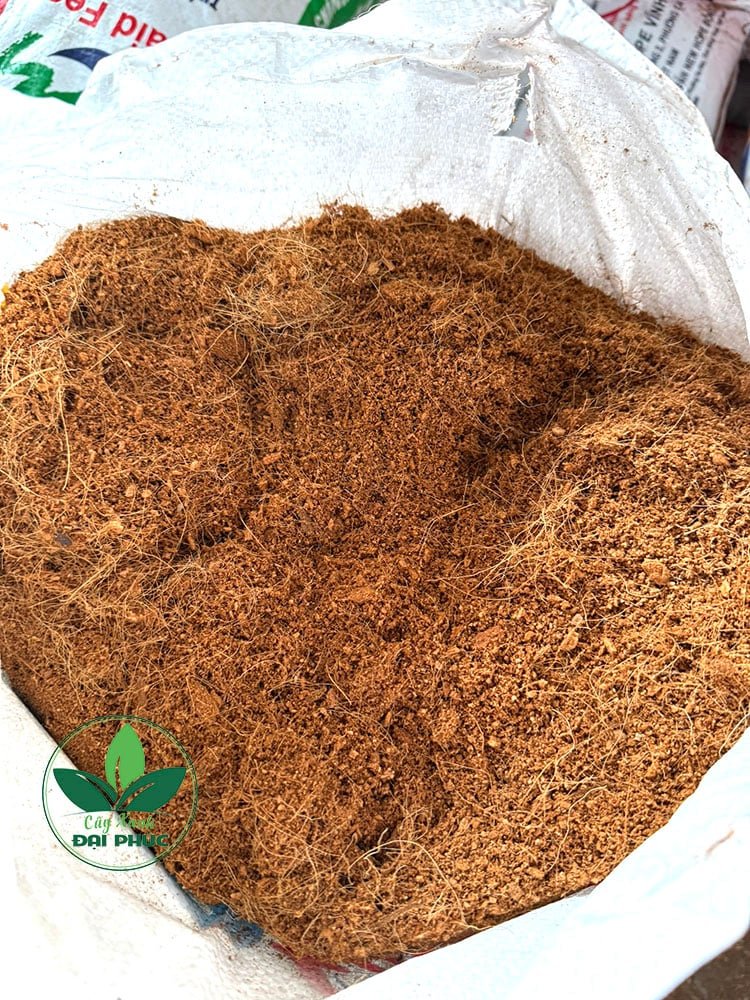 Xơ dừa trồng cây – Xơ dừa xay nguyên xơ, giữ ẩm và làm tơi đất 2