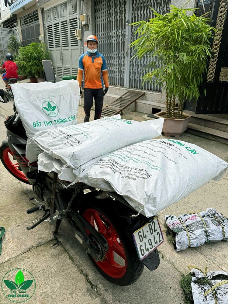 Đất Đa Dụng Cho Sân Vườn, Chậu Cây, Hoa Cảnh Và Thảm Cỏ 2