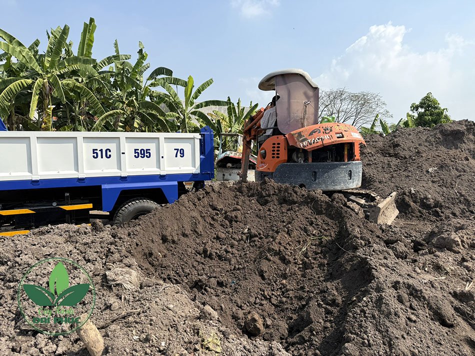 Đất thịt/đất đen giao xe ben: Ứng dụng, lưu ý và cách đặt hàng 2