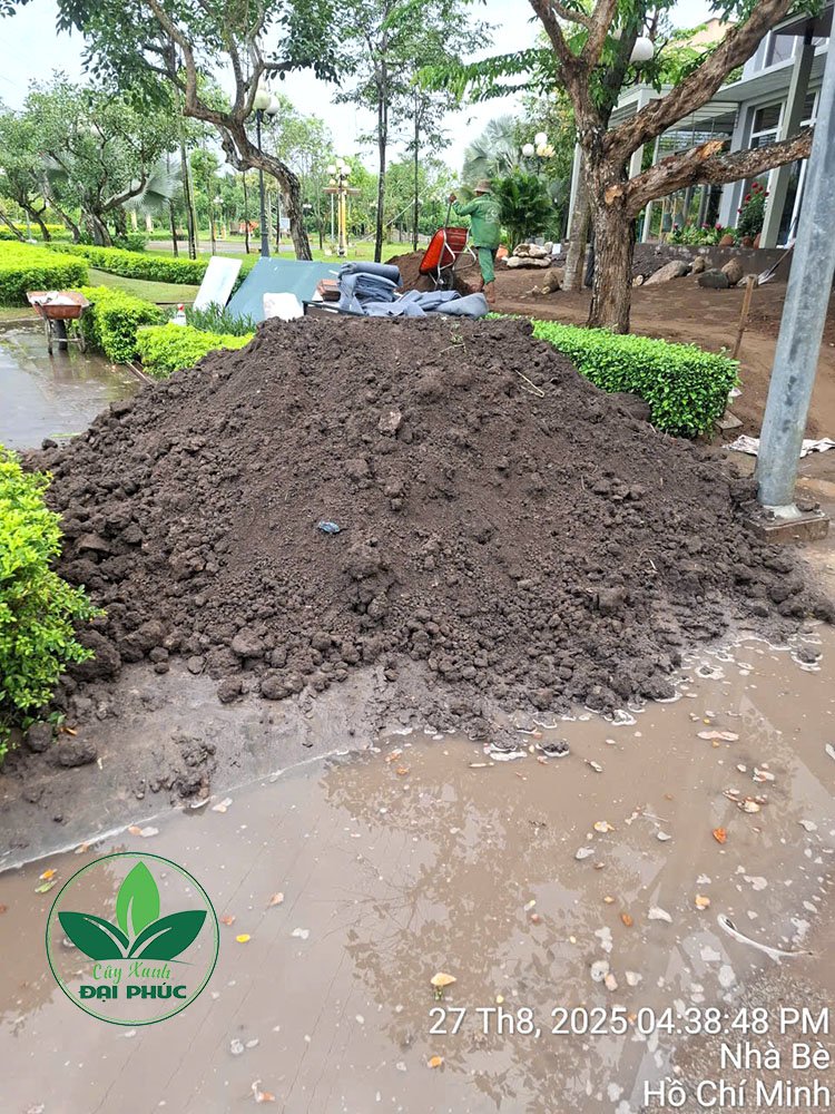 Đất thịt/đất đen giao xe ben: Ứng dụng, lưu ý và cách đặt hàng 3