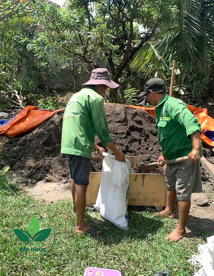 Đất Thịt Tự Nhiên Đóng Bao 30Kg - Có Khác Gì Đất Giao Xe Ben? 2