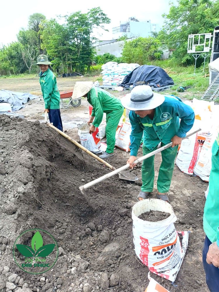 Đất Thịt Tự Nhiên Đóng Bao 30Kg - Có Khác Gì Đất Giao Xe Ben?