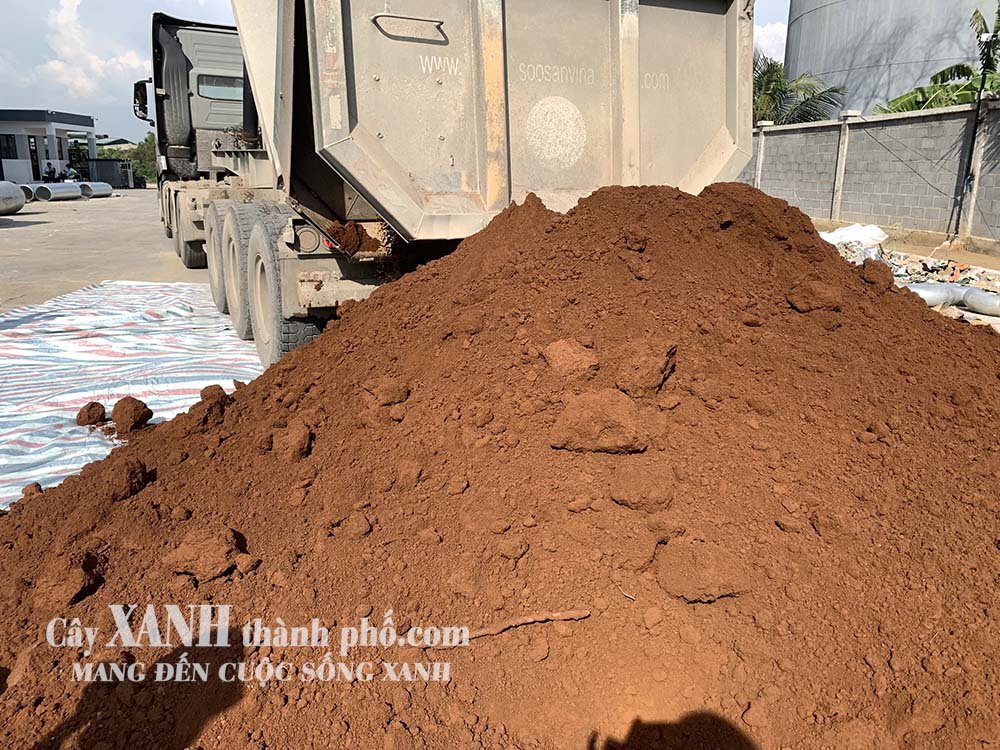 Đất thịt và đất đỏ khác nhau như thế nào? Thành phần dinh dưỡng và cây trồng phù hợp 3