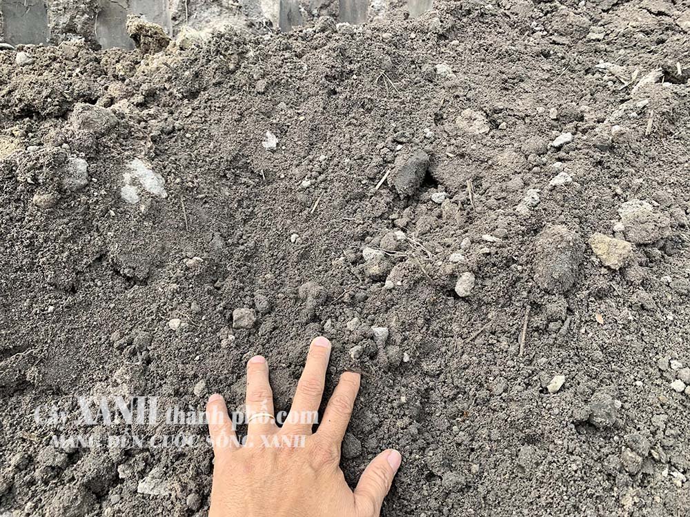 Đất thịt và đất đỏ khác nhau như thế nào? Thành phần dinh dưỡng và cây trồng phù hợp 2