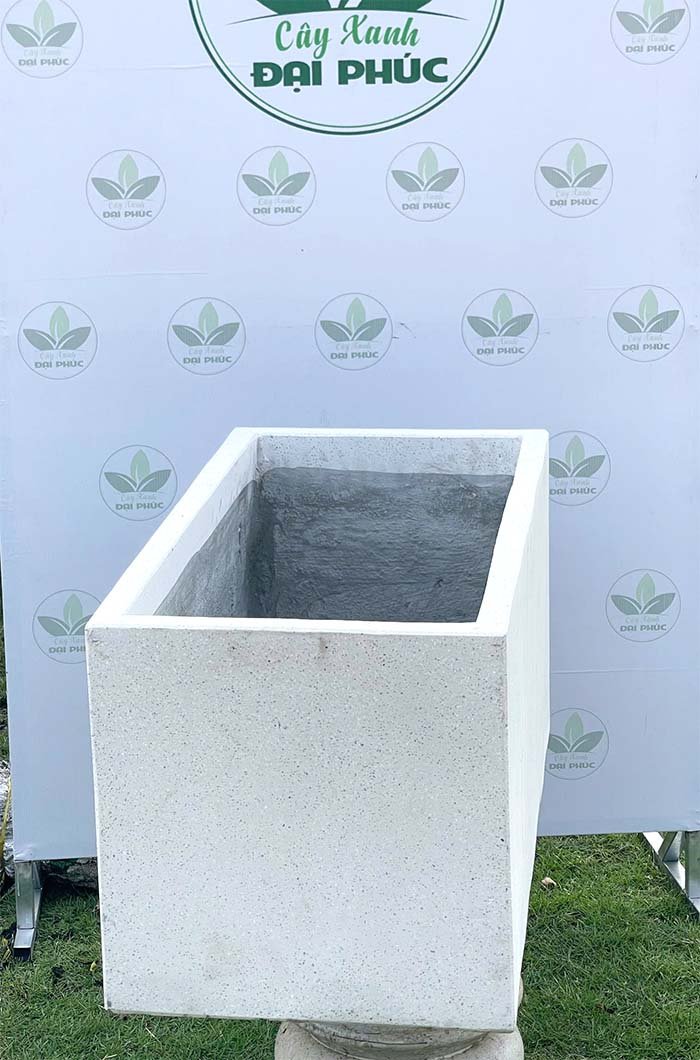 Chậu Xi Măng Đá Mài Chữ Nhật 80x40x40cm – Mẫu Chậu Đẹp, Bền Chắc, Dễ Bố Trí Nhiều Không Gian 3
