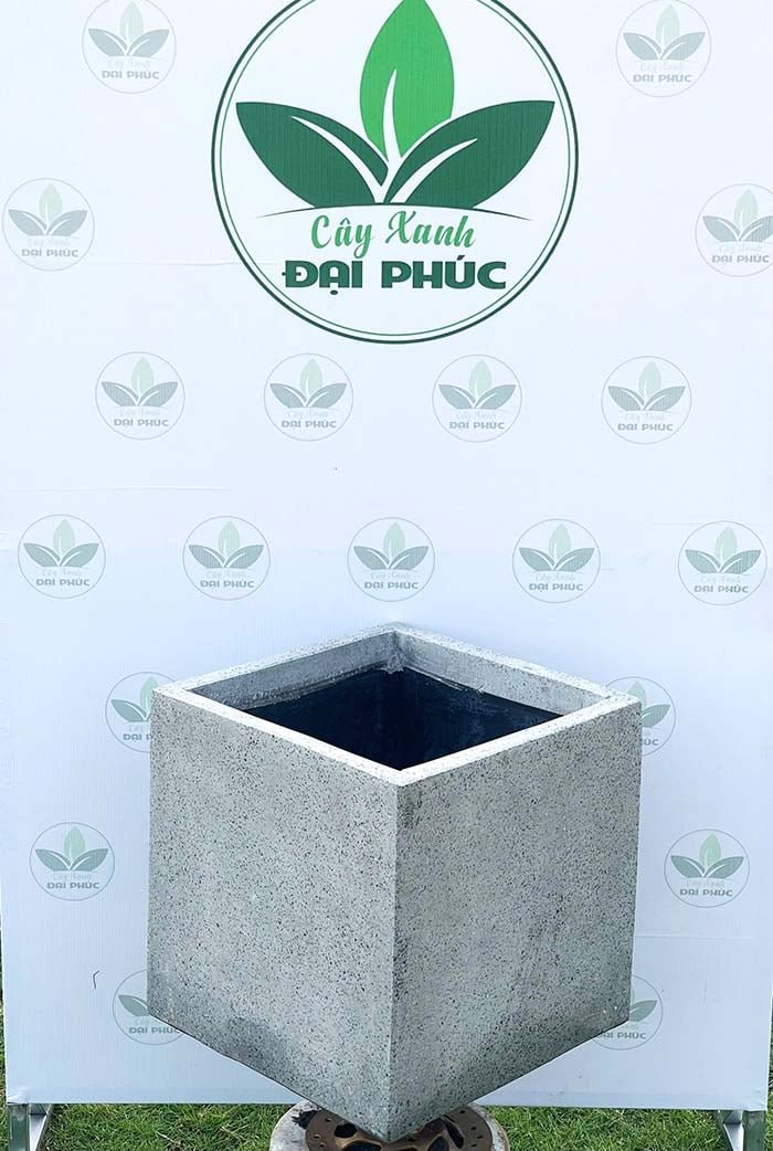 Chậu Xi Măng Đá Mài Hình Vuông 40x40x40cm – Bền Đẹp, Gọn Gàng, Phù Hợp Nhiều Không Gian 3