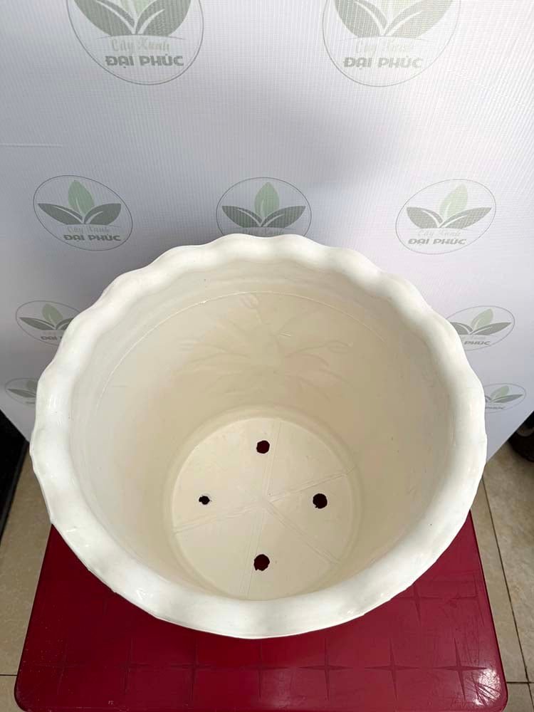 Chậu Nhựa 3 Chân Trắng 33x40cm – Tạo Điểm Nhấn Cao Ráo, Hiện Đại 3