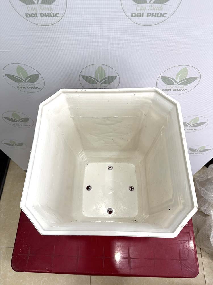 Chậu Nhựa Vuông Trắng Size Nhỏ 32x40cm – Gọn Nhẹ, Dễ Bố Trí Không Gian 3