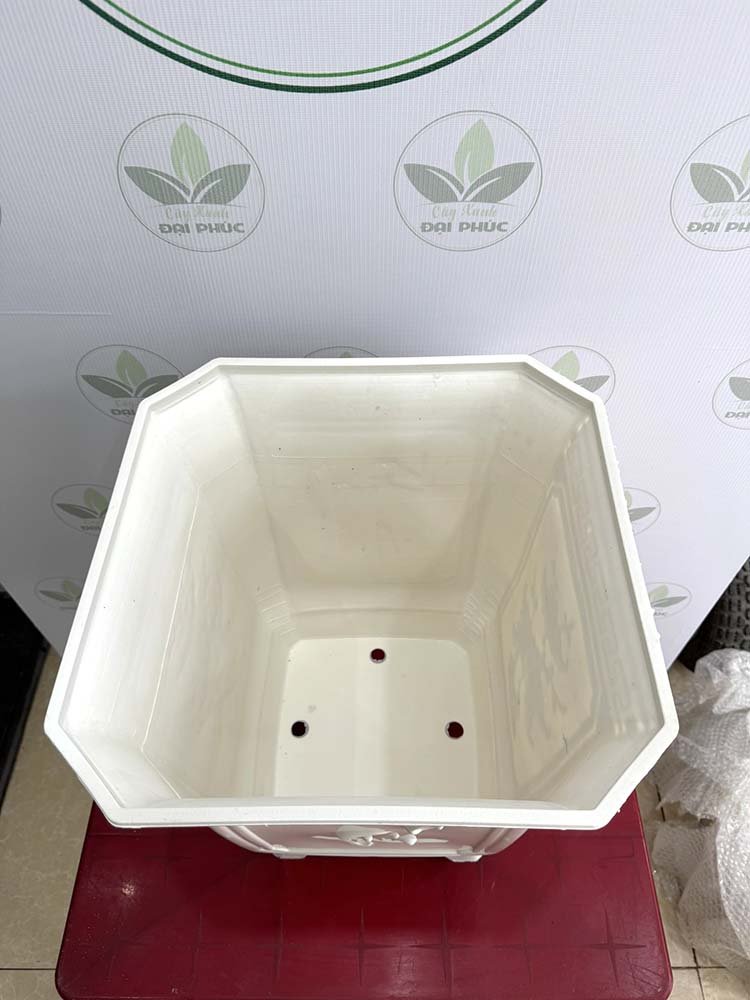 Chậu Nhựa Vuông Trắng (size lớn) 37x45cm – Gọn Gàng, Hiện Đại Cho Không Gian Xanh 3