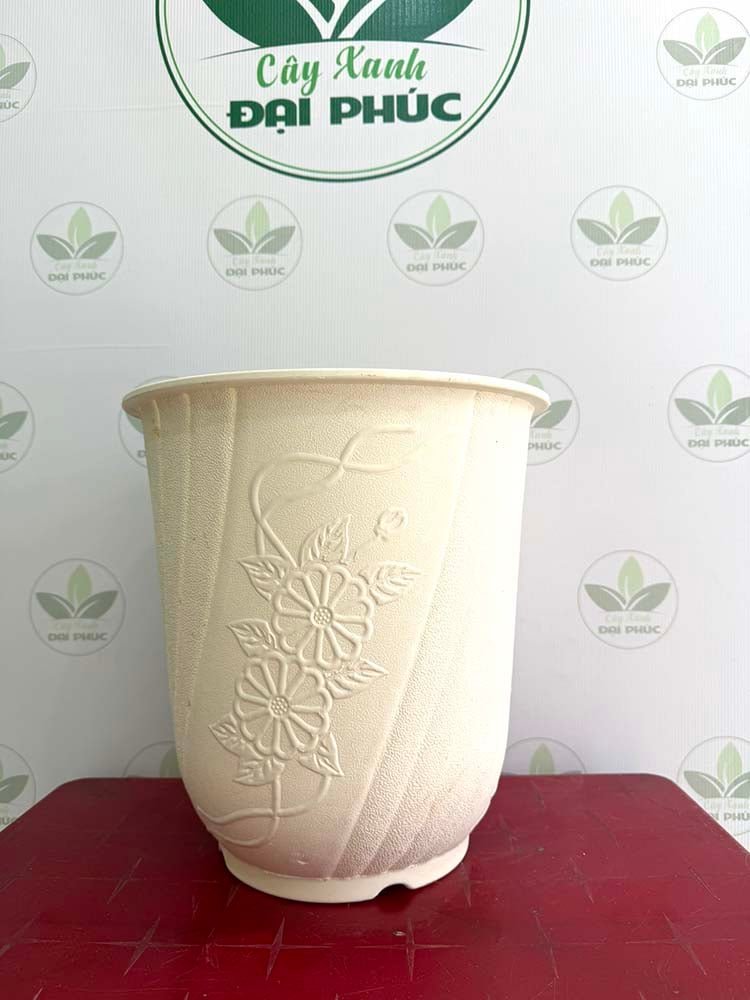 Chậu Nhựa Trắng Hoa Cúc 35x37cm – Nhẹ Nhàng, Dễ Phối Cây Nội Thất