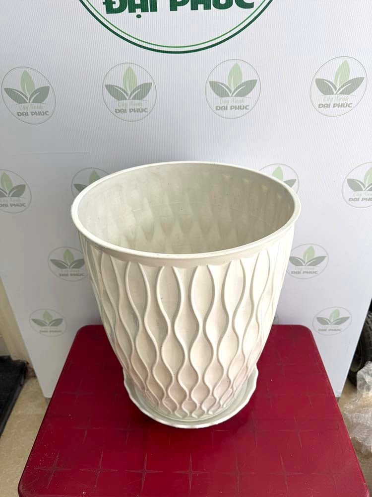 Chậu Nhựa Mắt Lưới Trắng Size Nhỏ 33x40cm – Gọn Gàng, Dễ Bố Trí Không Gian 3