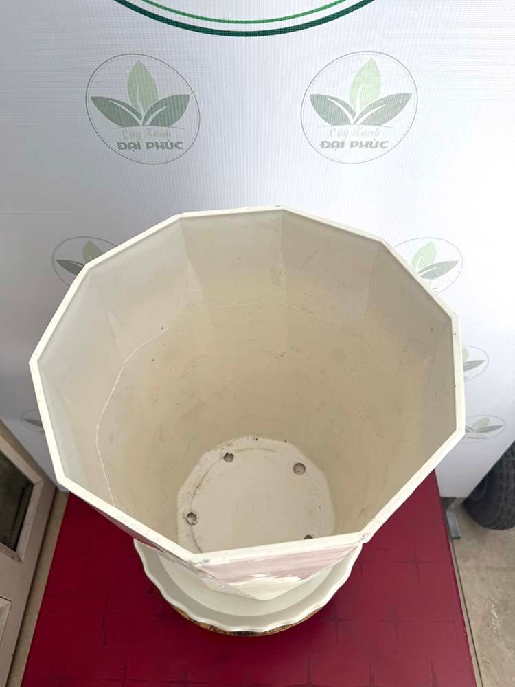 Chậu Nhựa Kim Cương Đá Trắng Đen 30x40cm – Sang Trọng, Bền Đẹp, Phù Hợp Mọi Không Gian 2