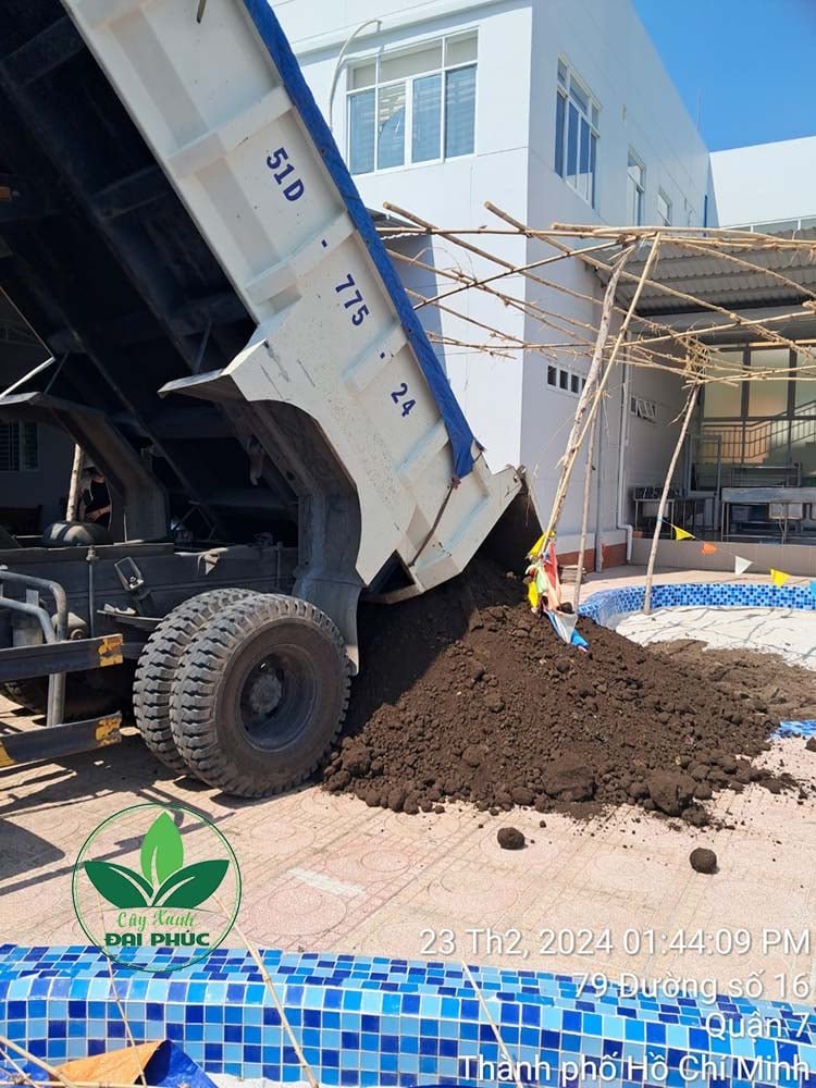 Đất Thịt Trồng Cây Được Lấy Từ Đâu? Quy Trình Khai Thác Và Giao Đất