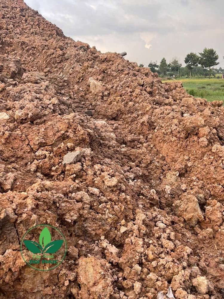 Đất San Lấp Mặt Bằng TPHCM – Nguồn Vật Liệu Thiết Yếu Cho Mọi Công Trình
