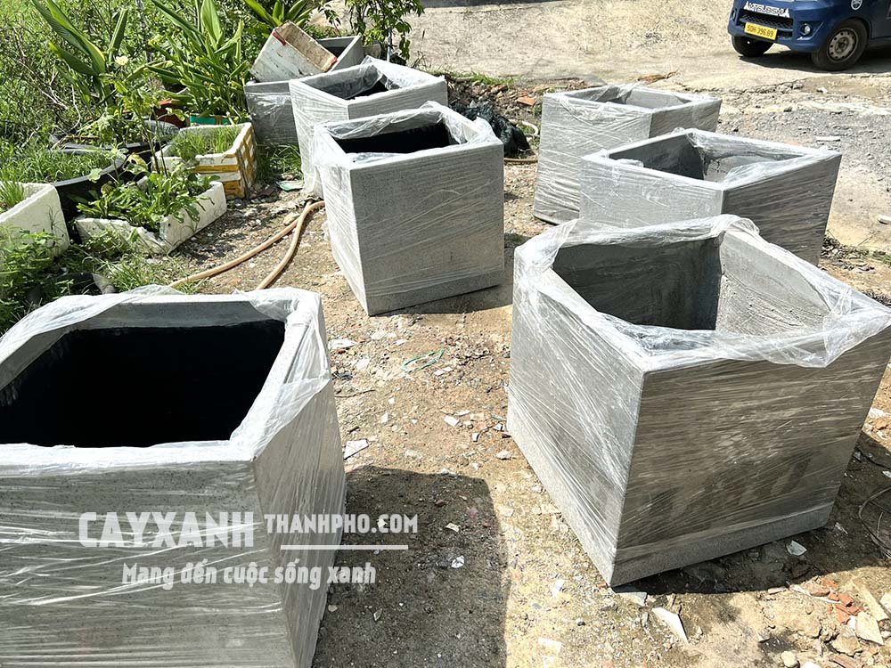 Thế giới chậu xi măng: Vô vàn kiểu dáng, sáng tạo không giới hạn, giá tại xưởng 2