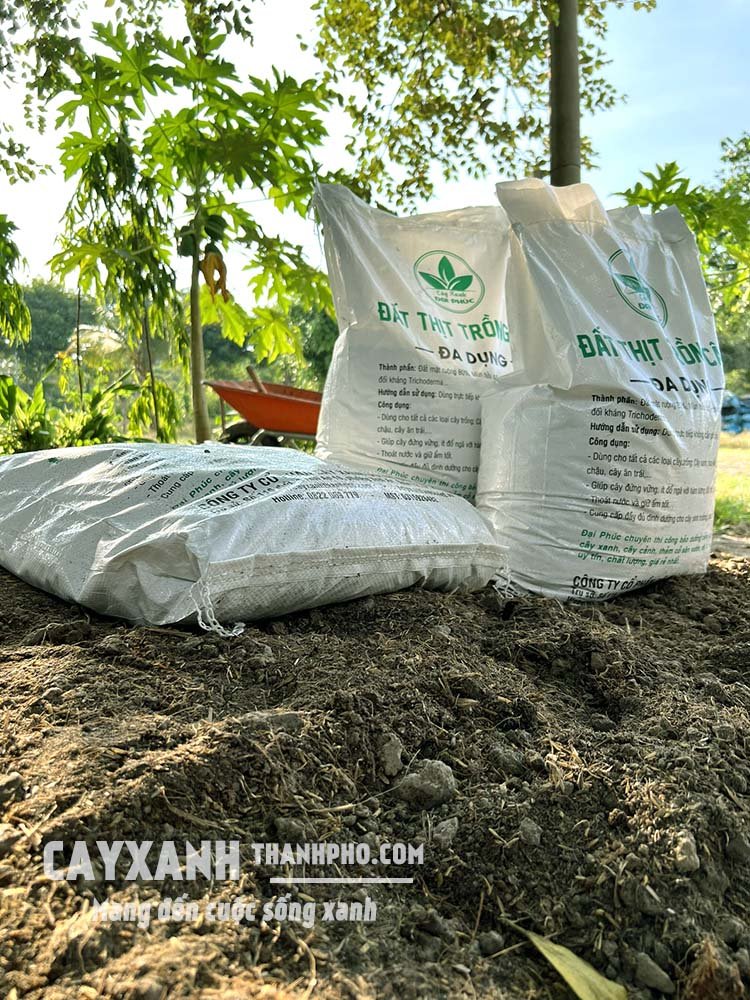 Đất trồng cây trộn sẵn đóng bao có dùng liền được không? 3