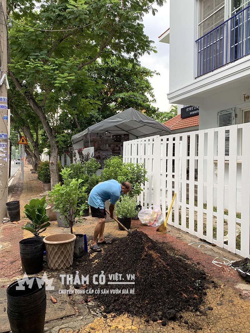 Phân Hữu Cơ Trồng Cây – Thành Phần Và Tác Dụng Của Phân Hữu Cơ Trồng Cây Như Thế Nào? 3