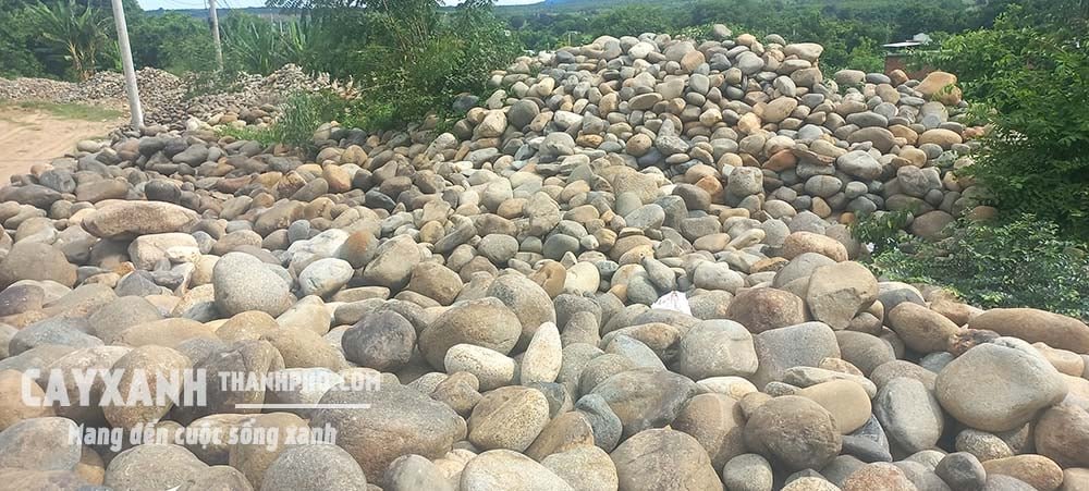 Đá Cuội | Đá Tự Nhiên Trang Trí Sân Vườn, Hồ Cá Rẻ Nhất Ở TP. HCM 2