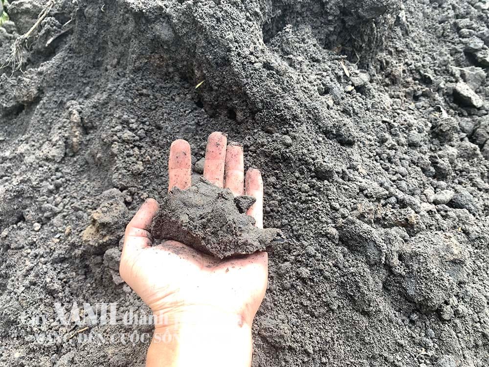 Khi nào nên dùng đất thịt tự nhiên đóng bao? 3