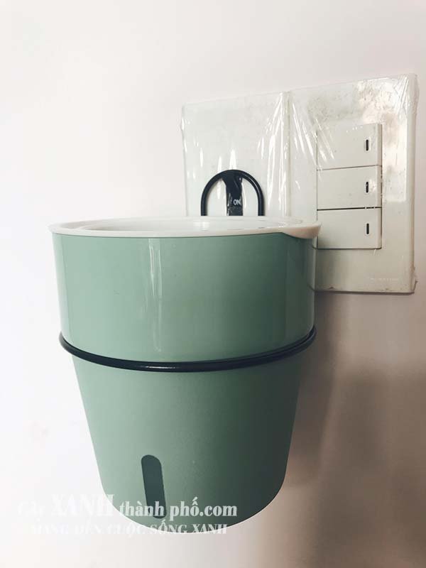 Chậu nhựa trồng cây - Chậu hoa đẹp 3