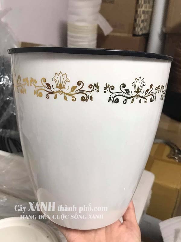 Chậu trồng cây - Chậu trồng cây tự tưới 3