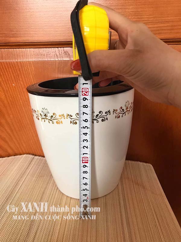 Chậu trồng cây - Chậu trồng cây tự tưới 2