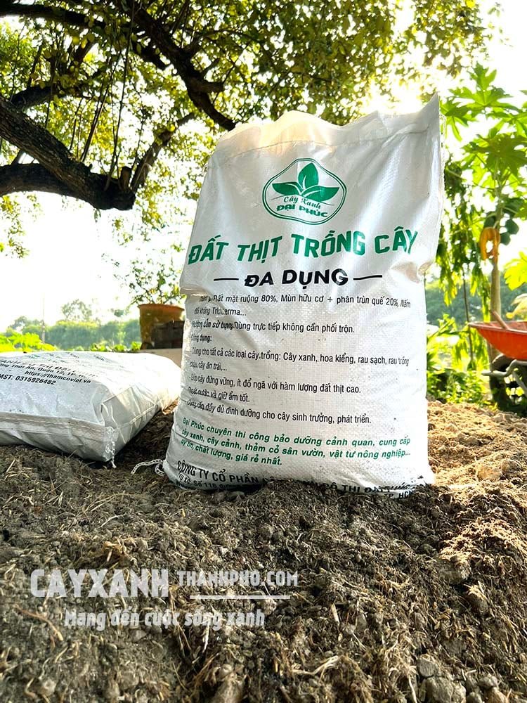 Trồng cây trong chậu nên dùng đất đóng bao loại nào? 2