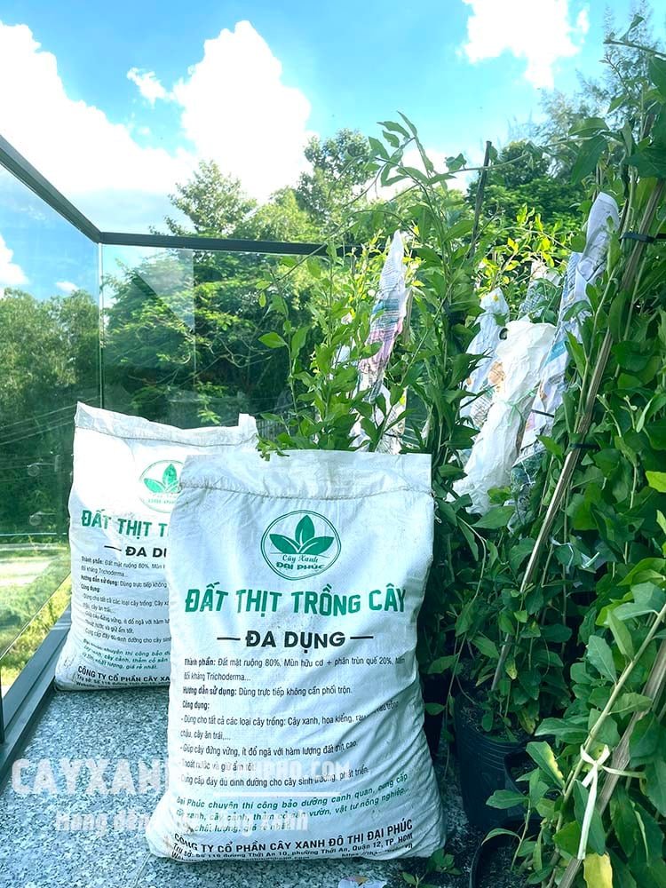 Đất thịt đóng bao phù hợp trồng những loại cây nào?
