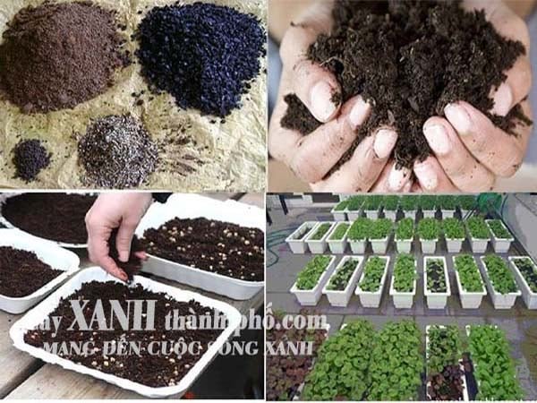 TOP 4 loại đất trồng cây chất lượng nhất hiện nay 3