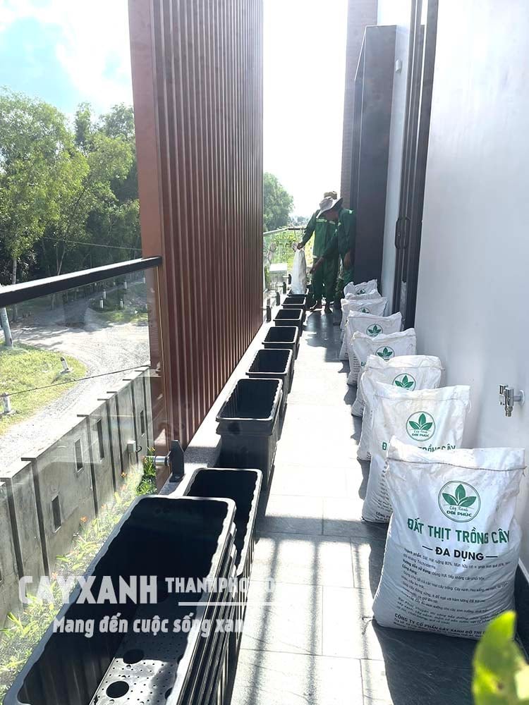 Đất trồng cây đóng bao trộn sẵn gồm những thành phần gì?