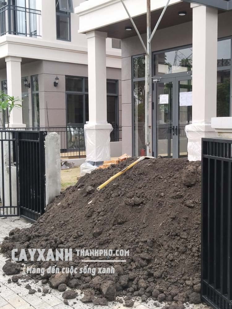 Đất thịt/đất đen trồng cây giao xe ben 4m³ 2
