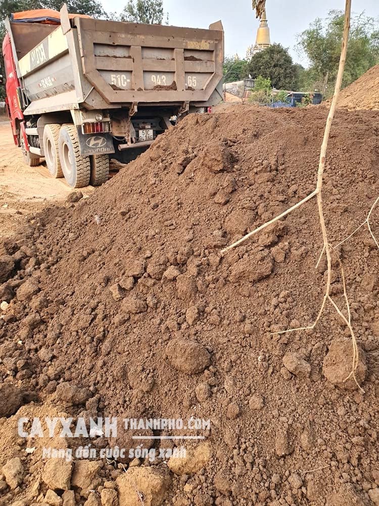 Đất Bazan - Địa chỉ bán đất Bazan trồng cây chất lượng, giá rẻ