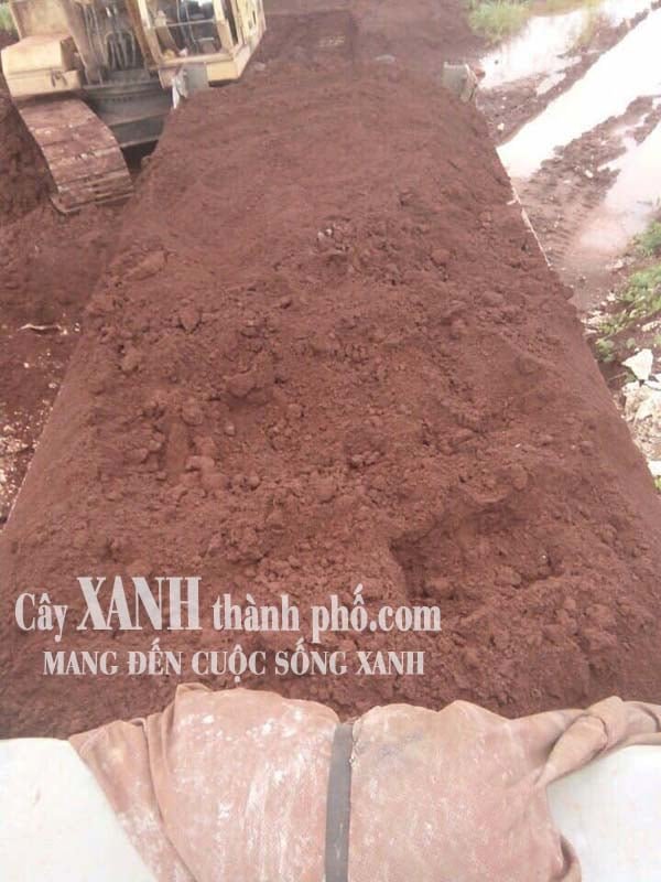 Đất Bazan - Địa chỉ bán đất Bazan trồng cây chất lượng, giá rẻ 3