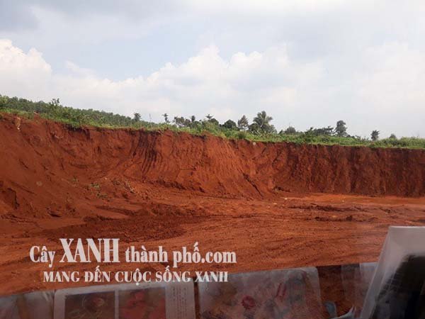 Đất đỏ Bazan mua ở đâu chuẩn chất lượng, giá tốt? 3