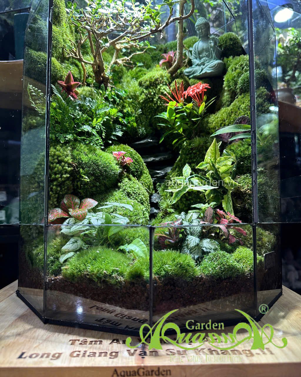 Terrarium 398 - “Tịnh Lộ Viên Minh” – Không gian thiền tĩnh | AquaGarden 3